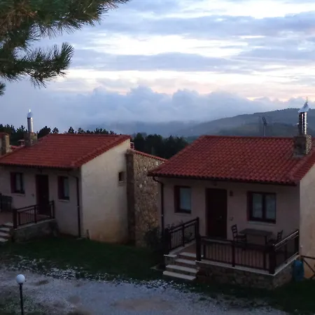 Elatodasos