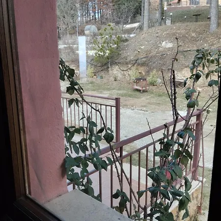 Elatodasos * Taxiarkhis (Aristotelis)