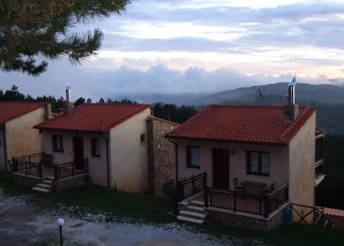 Elatodasos